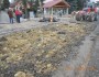 DSCN4474.JPG